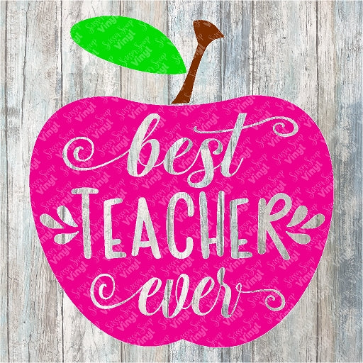 0492 - Best Teacher Ever