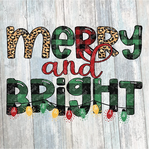 0764 - Merry & Bright Lights