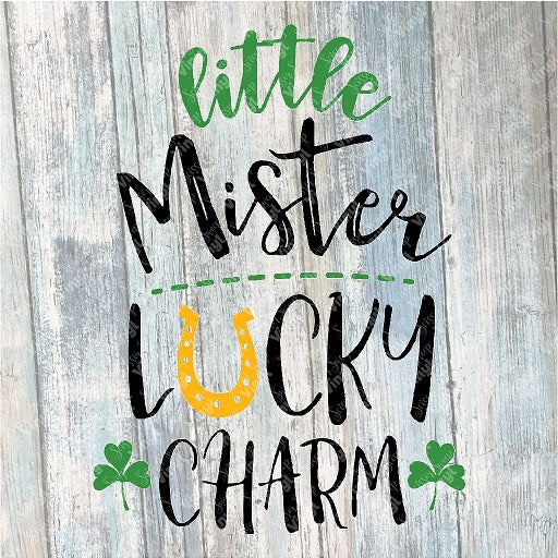 1031 - Little Mister Lucky Charm