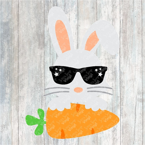 0149 - Mr. Bunny and Carrot