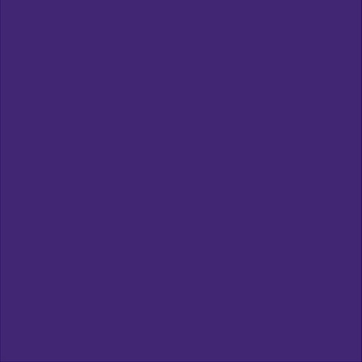 404 - Purple