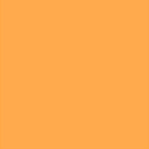 PMT-027 Neon Orange